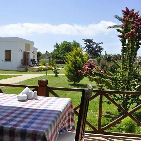 Villa Lembos Hotel Karpaz Rizokarpaso Exterior photo